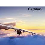 Flightd Tickets Profile Picture