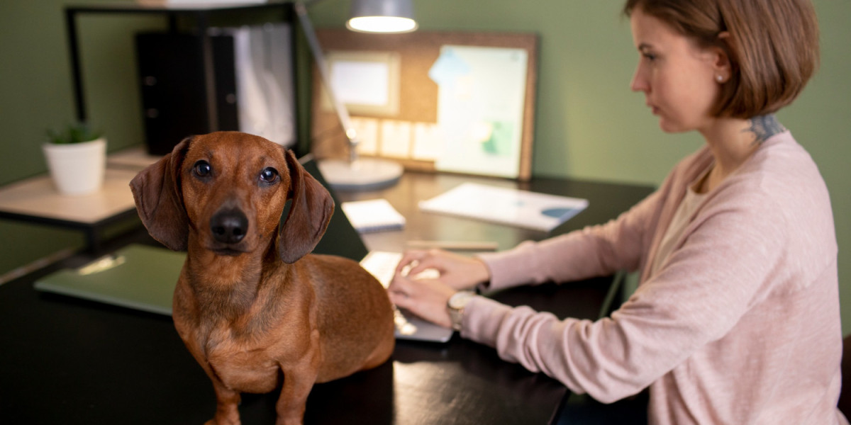 Why Is Kennel Management Software Essential For Pet Care?