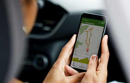 Cabcharge Taxi Melbourne, Digital Cabcharge Taxi, Motor Pass Payments