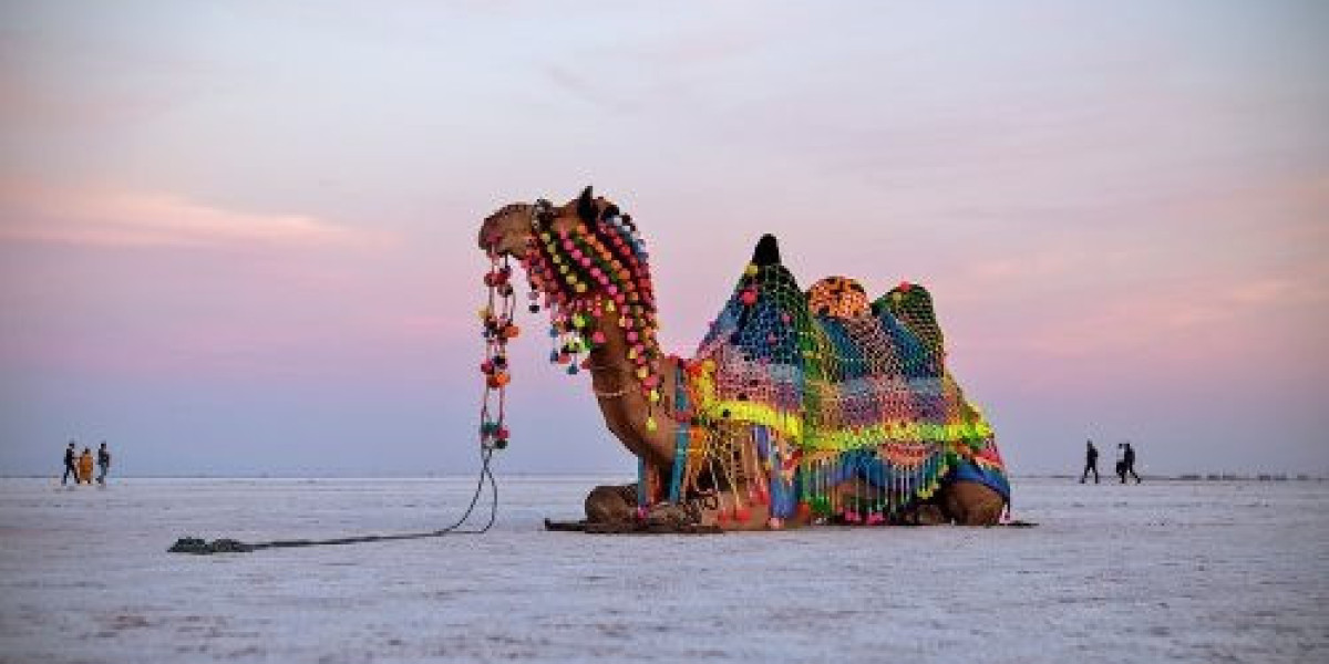 Rann Utsav Unlocks White Desert Magic with Affordable Adventure