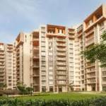 reeltor tor Profile Picture