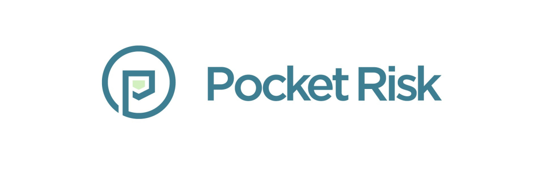 Pocket Risk Cover Image