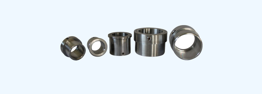 Malabou Limited Cover Image