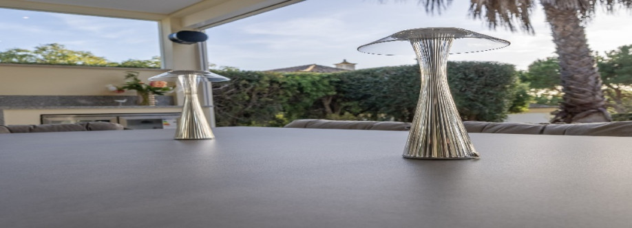 Susana Guerreiro Cover Image