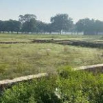 reeltor tor Profile Picture