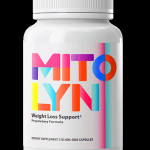 **** 03 Profile Picture