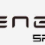 Engwe España Profile Picture