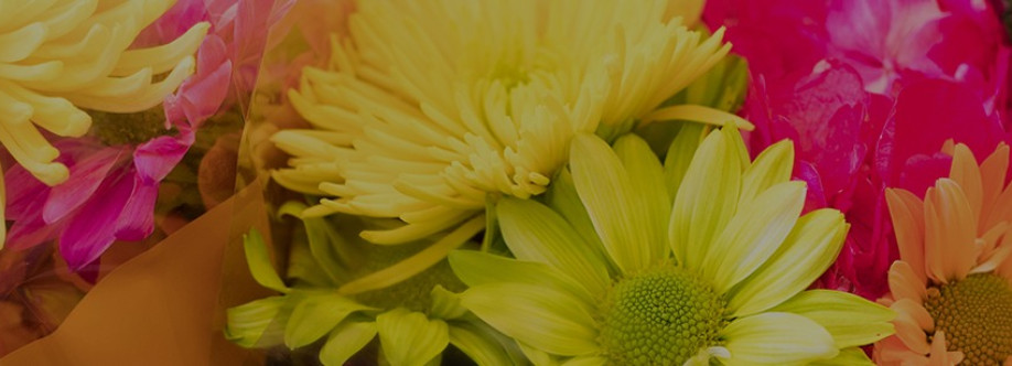 Chemstar Corporation Cover Image