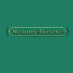 Steamex Eastern of Toledo profile picture