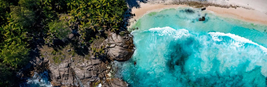 Nathalie Aron Cover Image