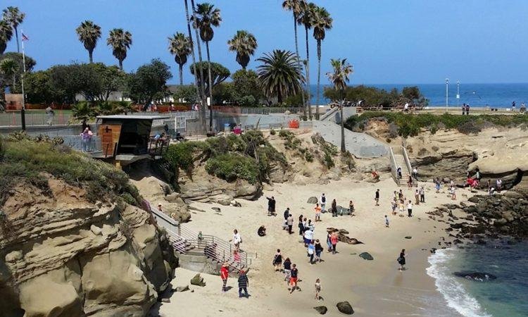 Facts about the Best Transportation Options from San Diego Airport to La Jolla - Diginewsfeed